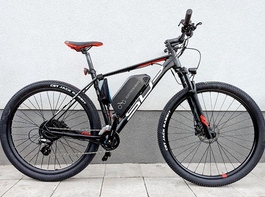 Električni bicikl 750W